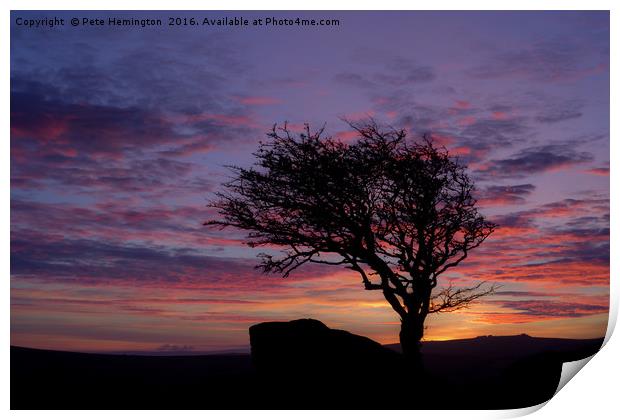 Lone tree near Holwell Tor on Dartmoor Print by Pete Hemington