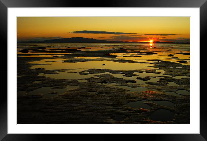 cardurnock sunset Framed Mounted Print by chris thomson