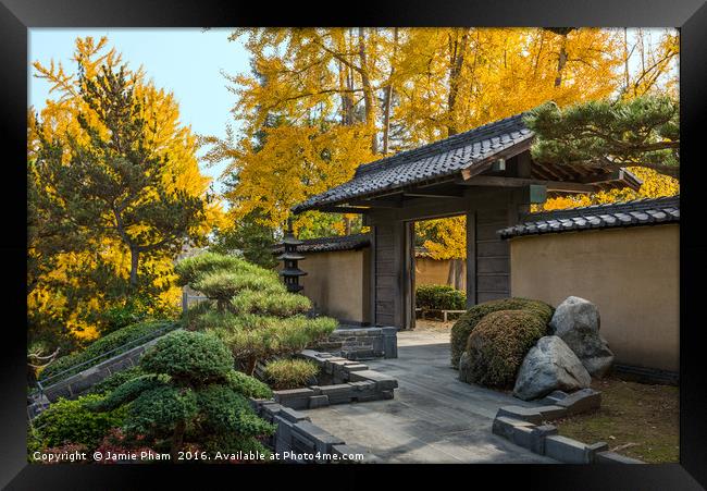 The beautiful fall colors of the Japanese Gardens Framed Print by Jamie Pham
