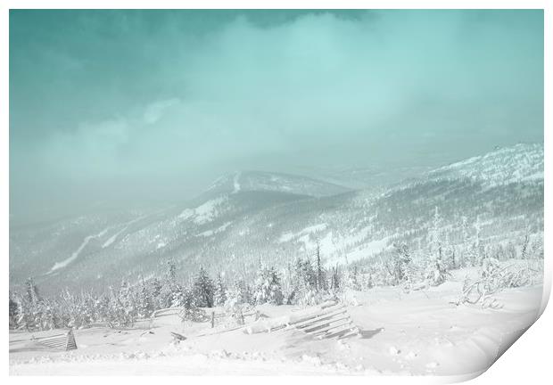 Winter landscape Print by Larisa Siverina