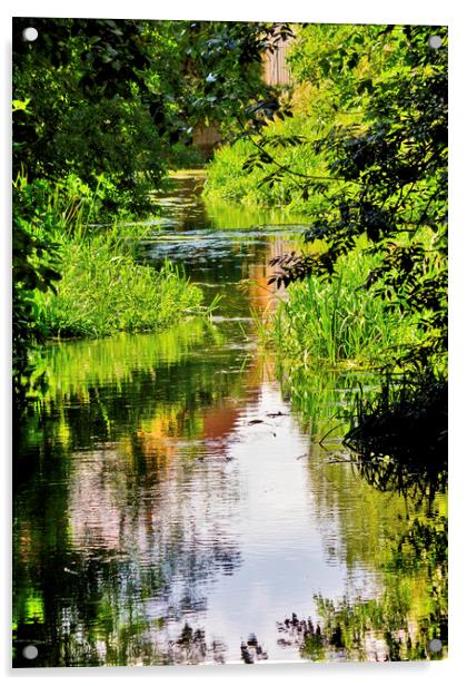 The Stream Acrylic by Darren Burroughs