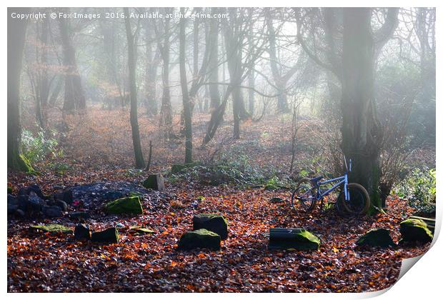 Fog in the Forest Print by Derrick Fox Lomax