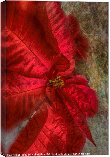 Christmas Flower Canvas Print by Judy Hall-Folde