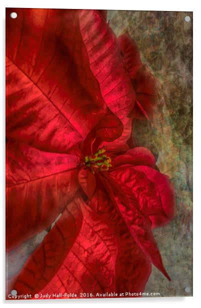 Christmas Flower Acrylic by Judy Hall-Folde