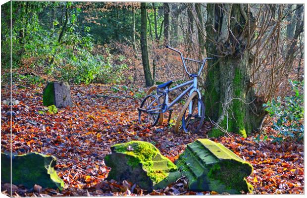 Bike in the forest Canvas Print by Derrick Fox Lomax