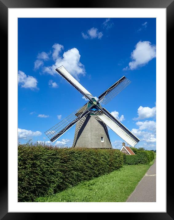 Netherland windmill Framed Mounted Print by Gail Johnson