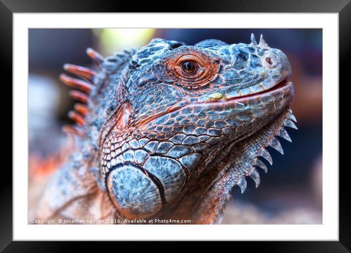 Red Dragon Framed Mounted Print by jonathan nguyen