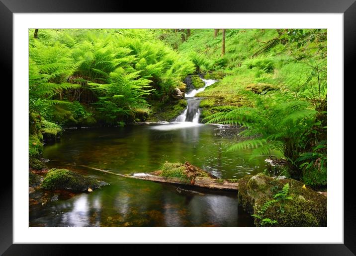       Venford brook                               Framed Mounted Print by philip myers