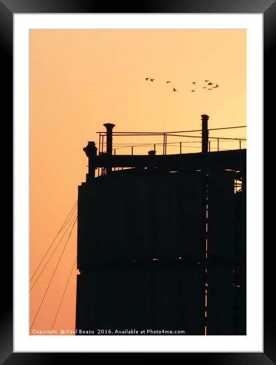 structural autumn sunset Framed Mounted Print by Paul Boazu