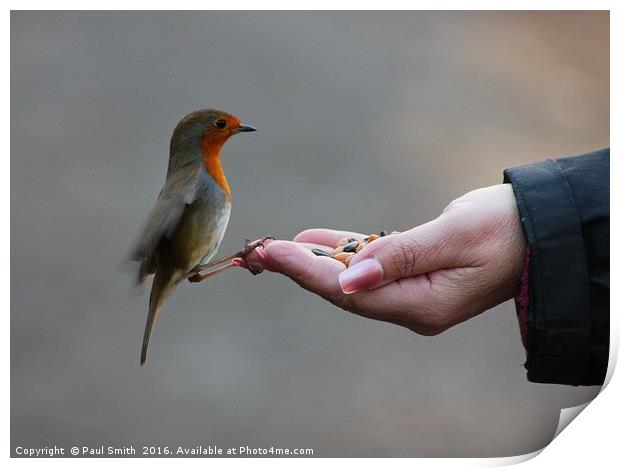 A Bird In The Hand Print by Paul Smith