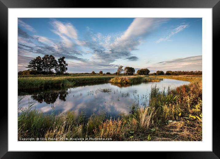 Ham Wall Nature Reserve Framed Mounted Print by Nick Pound