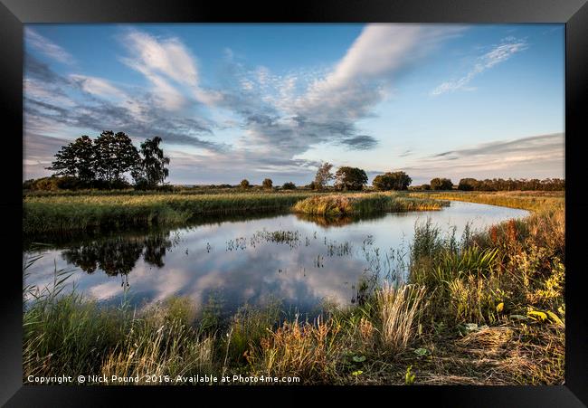 Ham Wall Nature Reserve Framed Print by Nick Pound