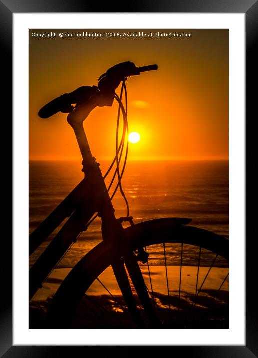 Cycling into the sunset Framed Mounted Print by sue boddington