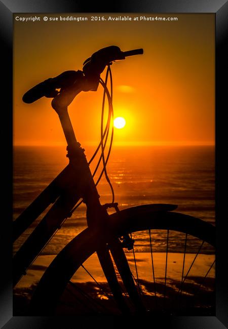 Cycling into the sunset Framed Print by sue boddington