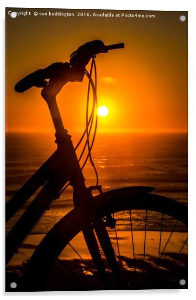 Cycling into the sunset Acrylic by sue boddington