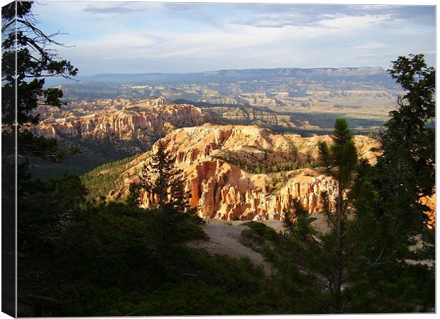 EVENING AT BRYCE CANYON Canvas Print by Pauline Green
