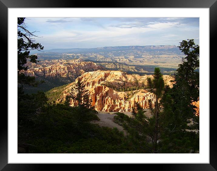 EVENING AT BRYCE CANYON Framed Mounted Print by Pauline Green