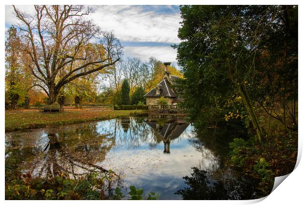 Falkland Reflections Print by Andrew Beveridge