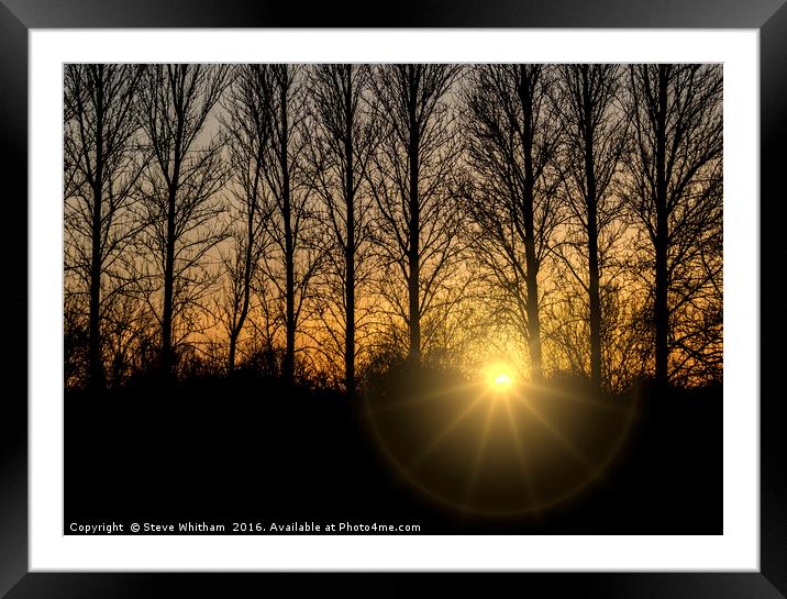 Sunset through trees Framed Mounted Print by Steve Whitham
