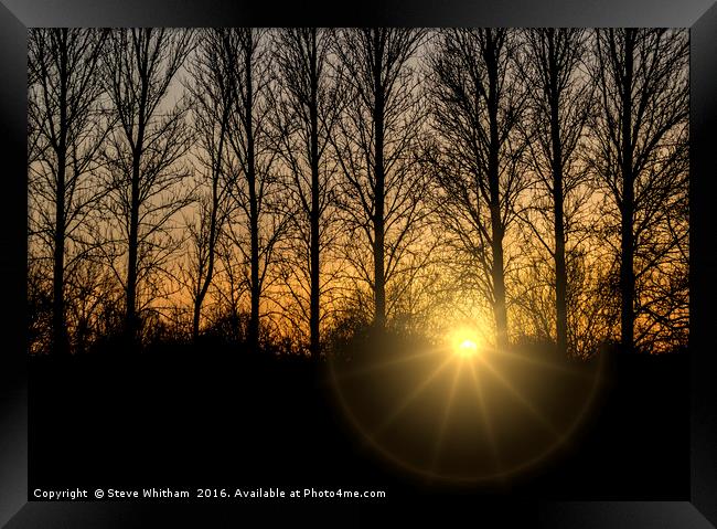 Sunset through trees Framed Print by Steve Whitham