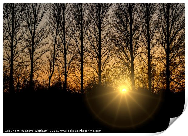 Sunset through trees Print by Steve Whitham