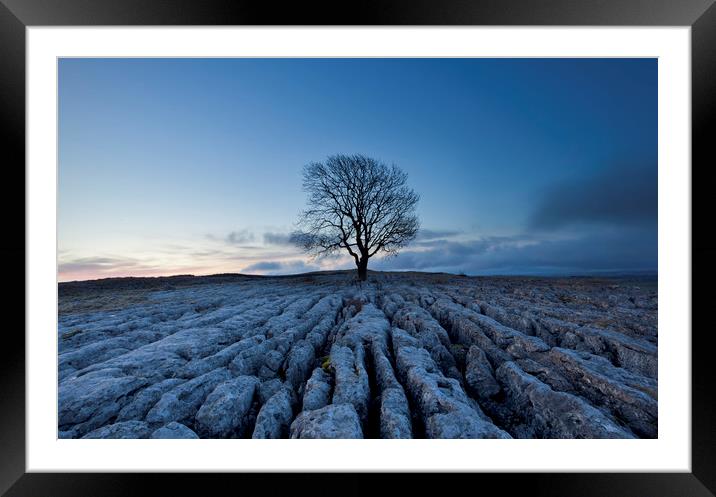 Malham Lone Tree Framed Mounted Print by Colin Jarvis
