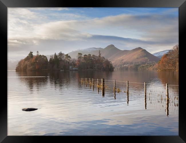 Derwentwater at sunrise  Framed Print by Colin Jarvis