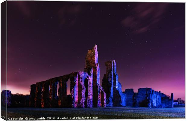 Neath Abbey, South Wales Canvas Print by tony smith