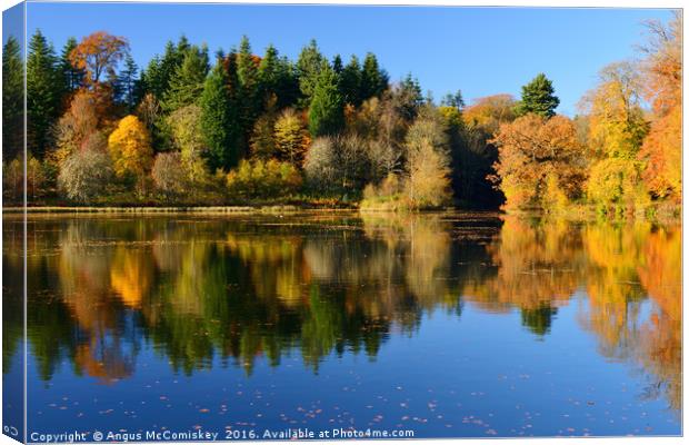 Penicuik Pond autumn colours Canvas Print by Angus McComiskey