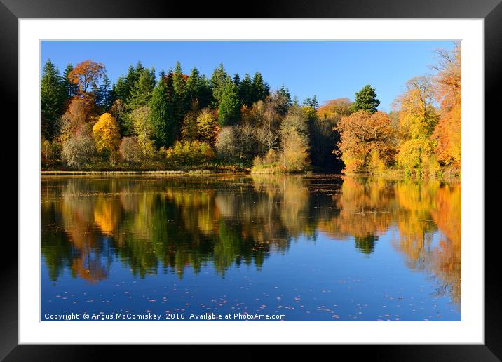 Penicuik Pond autumn colours Framed Mounted Print by Angus McComiskey