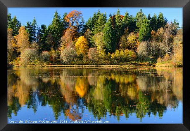 Autumn colours on Penicuik Pond Framed Print by Angus McComiskey