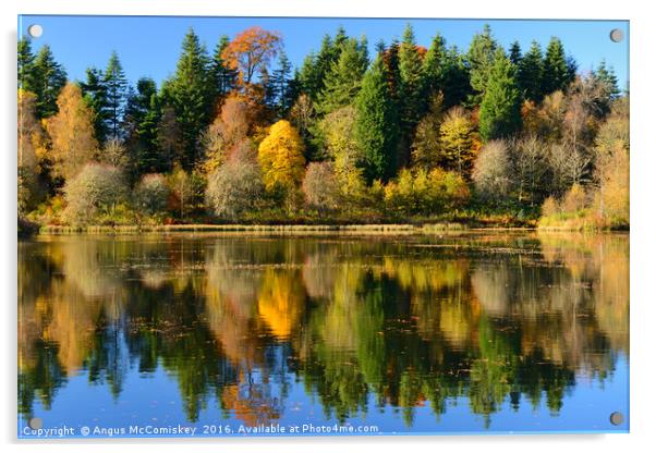Autumn colours on Penicuik Pond Acrylic by Angus McComiskey