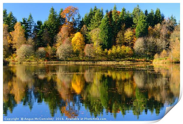 Autumn colours on Penicuik Pond Print by Angus McComiskey