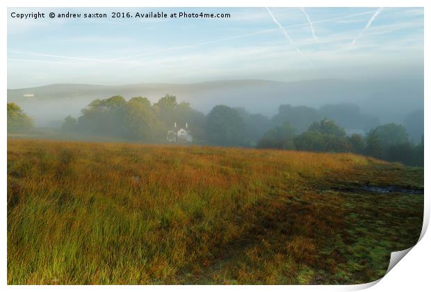 MISTY START Print by andrew saxton