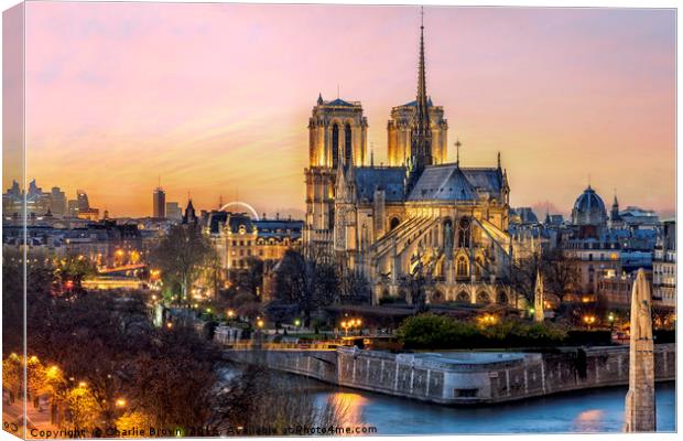 Notre Dame de Paris Canvas Print by Ankor Light