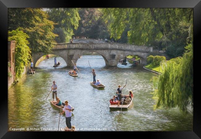 Punting in Cambridge Framed Print by Milton Cogheil