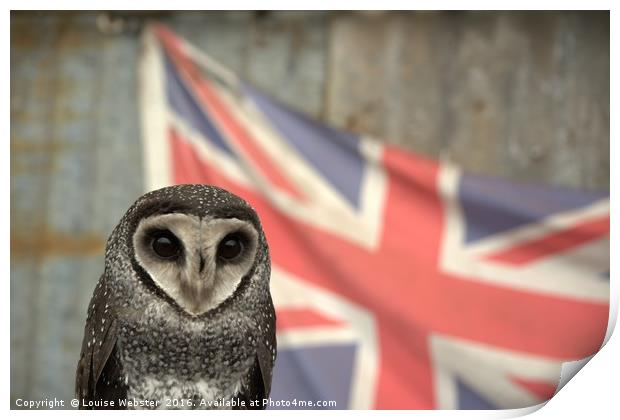 The Barn Owl Stare Print by Louise Webster