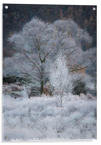 Frostbite Acrylic by John Ealing
