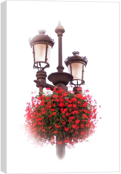 Geraniums on lamp post Canvas Print by Steve Whitham