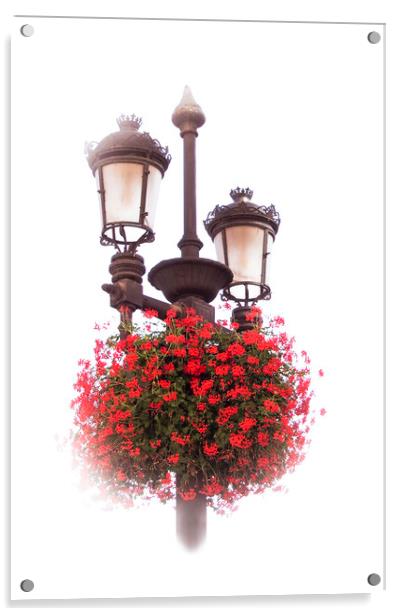 Geraniums on lamp post Acrylic by Steve Whitham