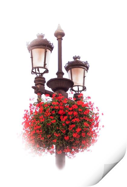 Geraniums on lamp post Print by Steve Whitham