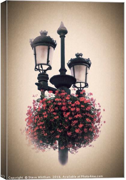 Geraniums on lamp post - Antique look. Canvas Print by Steve Whitham