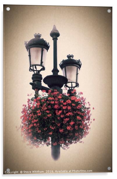 Geraniums on lamp post - Antique look. Acrylic by Steve Whitham