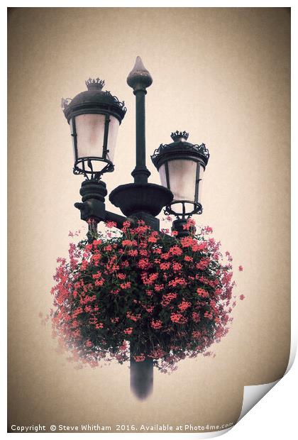 Geraniums on lamp post - Antique look. Print by Steve Whitham