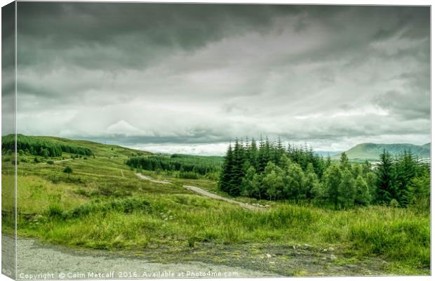 Before the Storm Canvas Print by Colin Metcalf