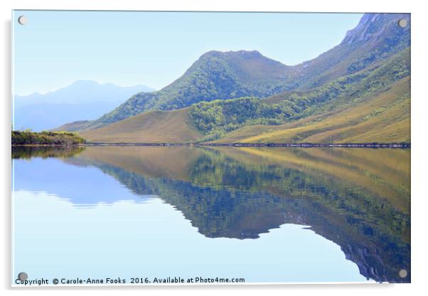 Reflections at Melaleuca Acrylic by Carole-Anne Fooks