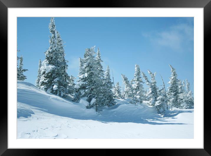 Winter landscape. Framed Mounted Print by Larisa Siverina