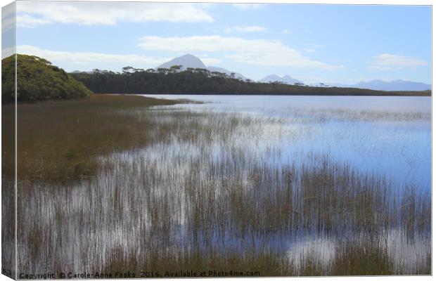 Tasmania, Melaleuca Lagoon Canvas Print by Carole-Anne Fooks