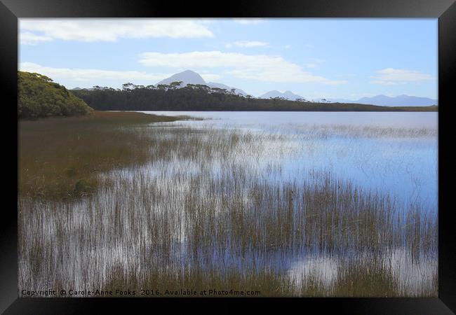 Tasmania, Melaleuca Lagoon Framed Print by Carole-Anne Fooks