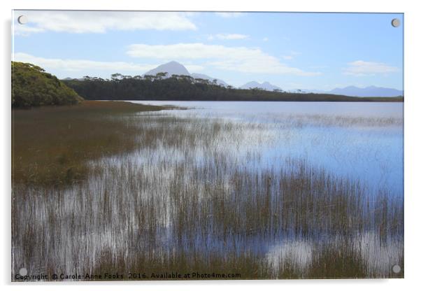 Tasmania, Melaleuca Lagoon Acrylic by Carole-Anne Fooks